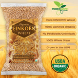 Einkorn Wheat - 100% Organic Einkorn Whole Grain Wheat