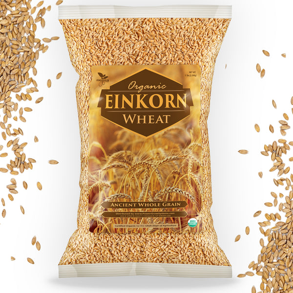 einkorn wheat seeds for planting Einkorn Wheat