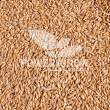 Einkorn Wheat - 100% Organic Einkorn Whole Grain Wheat