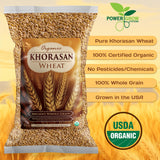 Khorasan Wheat - Certified 100% Organic Khorasan Wheat, 100% Whole Grain