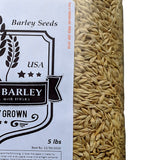 Barley Seeds - All Natural 5 Pounds Whole Barley Seed