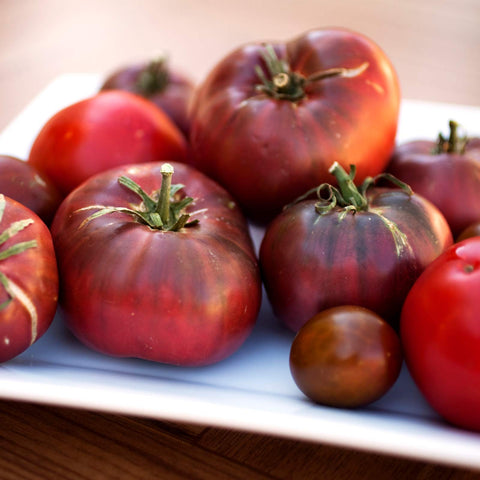 Cherokee Purple Tomato - Heirloom Tomato Seeds (30 seeds)