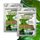 Fiddle Fig Fertilizer 18-6-12+ Micro Nutrients (8 Month Slow Release)