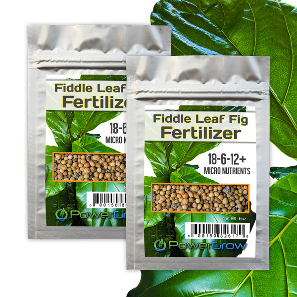 natural fertilizer for fiddle leaf fig Fiddle Leaf Fig Fertilizer 18-6-12+ Micro Nutrients (Lasts 8 MONTHS!) – PowerGrow Systems & Utah Hydroponics
