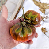 Black Sea Man Heirloom Tomato Seeds (10 seeds)