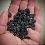 Luffa Sponge Seeds - Luffa Gourd Seeds (20+ seeds)