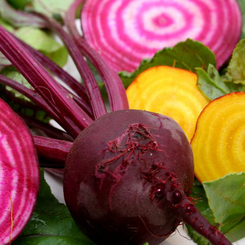 Beets - Gourmet Mix (Chioggia Red & Detroit Yellow) (100 seeds)