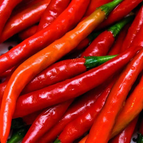 Cayenne Red Long Slim Chili Pepper (100 seeds)