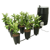 Active Aqua Grow Flow 2 gal Hydroponic System w/Controller Unit