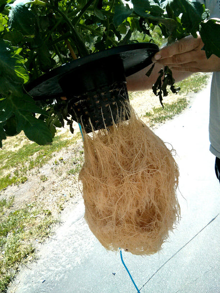 fermented plant juice hydroponics PowerGrow Deep Water Culture System