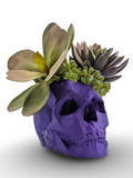 Modern Skull Planter – Geometric Skull Pot for Succulents & Home or Office Décor