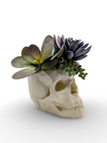 Modern Skull Planter – Geometric Skull Pot for Succulents & Home or Office Décor