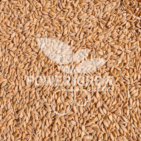 einkorn wheat seeds for planting Einkorn Wheat