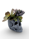 Modern Skull Planter – Geometric Skull Pot for Succulents & Home or Office Décor