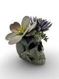 Modern Skull Planter – Geometric Skull Pot for Succulents & Home or Office Décor