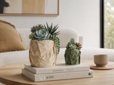 Modern Crumpled Paper Planter Pot – Textured Decorative Succulent Planter
