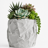 Modern Crumpled Paper Planter Pot – Textured Decorative Succulent Planter
