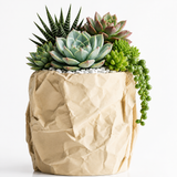 Modern Crumpled Paper Planter Pot – Textured Decorative Succulent Planter