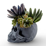 Modern Skull Planter – Geometric Skull Pot for Succulents & Home or Office Décor