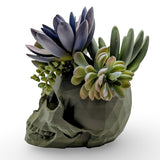 Modern Skull Planter – Geometric Skull Pot for Succulents & Home or Office Décor