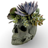 Modern Skull Planter – Geometric Skull Pot for Succulents & Home or Office Décor