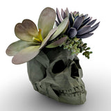 Modern Skull Planter – Geometric Skull Pot for Succulents & Home or Office Décor