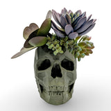 Modern Skull Planter – Geometric Skull Pot for Succulents & Home or Office Décor