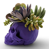 Modern Skull Planter – Geometric Skull Pot for Succulents & Home or Office Décor