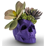 Modern Skull Planter – Geometric Skull Pot for Succulents & Home or Office Décor