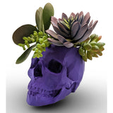 Modern Skull Planter – Geometric Skull Pot for Succulents & Home or Office Décor