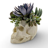 Modern Skull Planter – Geometric Skull Pot for Succulents & Home or Office Décor