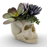 Modern Skull Planter – Geometric Skull Pot for Succulents & Home or Office Décor