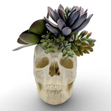 Modern Skull Planter – Geometric Skull Pot for Succulents & Home or Office Décor