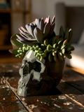 Modern Skull Planter – Geometric Skull Pot for Succulents & Home or Office Décor