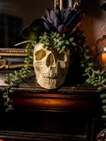 Modern Skull Planter – Geometric Skull Pot for Succulents & Home or Office Décor