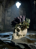 Modern Skull Planter – Geometric Skull Pot for Succulents & Home or Office Décor