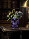 Modern Skull Planter – Geometric Skull Pot for Succulents & Home or Office Décor