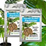 Houseplant Fertilizer for ZZ Plant, Snake Plant, Fig Tree, Olive Trees etc (8 Month Slow Release)