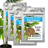 Houseplant Fertilizer for ZZ Plant, Snake Plant, Fig Tree, Olive Trees etc (8 Month Slow Release)