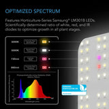 AC Infinity IONBOARD S24 - LED Grow Light for 2'x4' Coverage