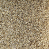 Rice Hulls - Premium All Natural Rice Hulls