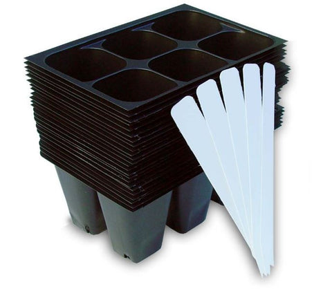 Seedling Starter Trays, 144 Cells & 5 Plant Labels