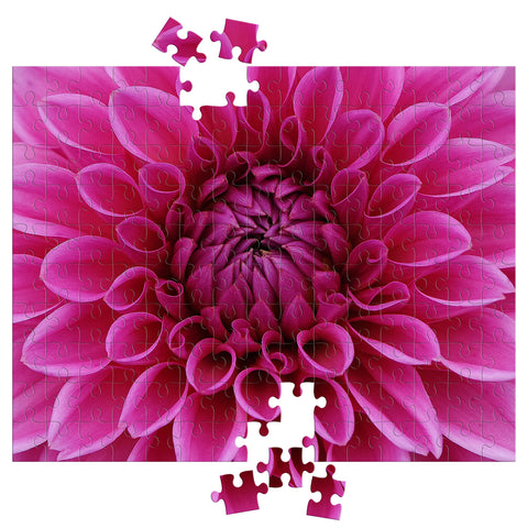 Dahlia Flower Puzzle