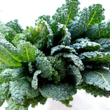 Kale Italian Lacinato Nero Toscana aka Dinosaur Kale (100 seeds)