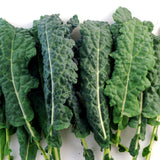 Kale Italian Lacinato Nero Toscana aka Dinosaur Kale (100 seeds)