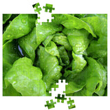 Lettuce Garden Puzzle - Garden Jigsaw Puzzle