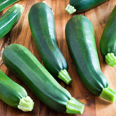 Black Beauty Zucchini Squash (25 seeds)